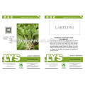 PK23 Las semillas de pakchoi shum no.3 blancas, diferentes tipos de semillas de pakchoi en venta